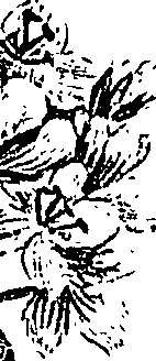 099/099310010800960_2.png