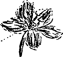 099/099310010800960_3.png