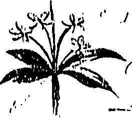 099/099310010800970_0.png