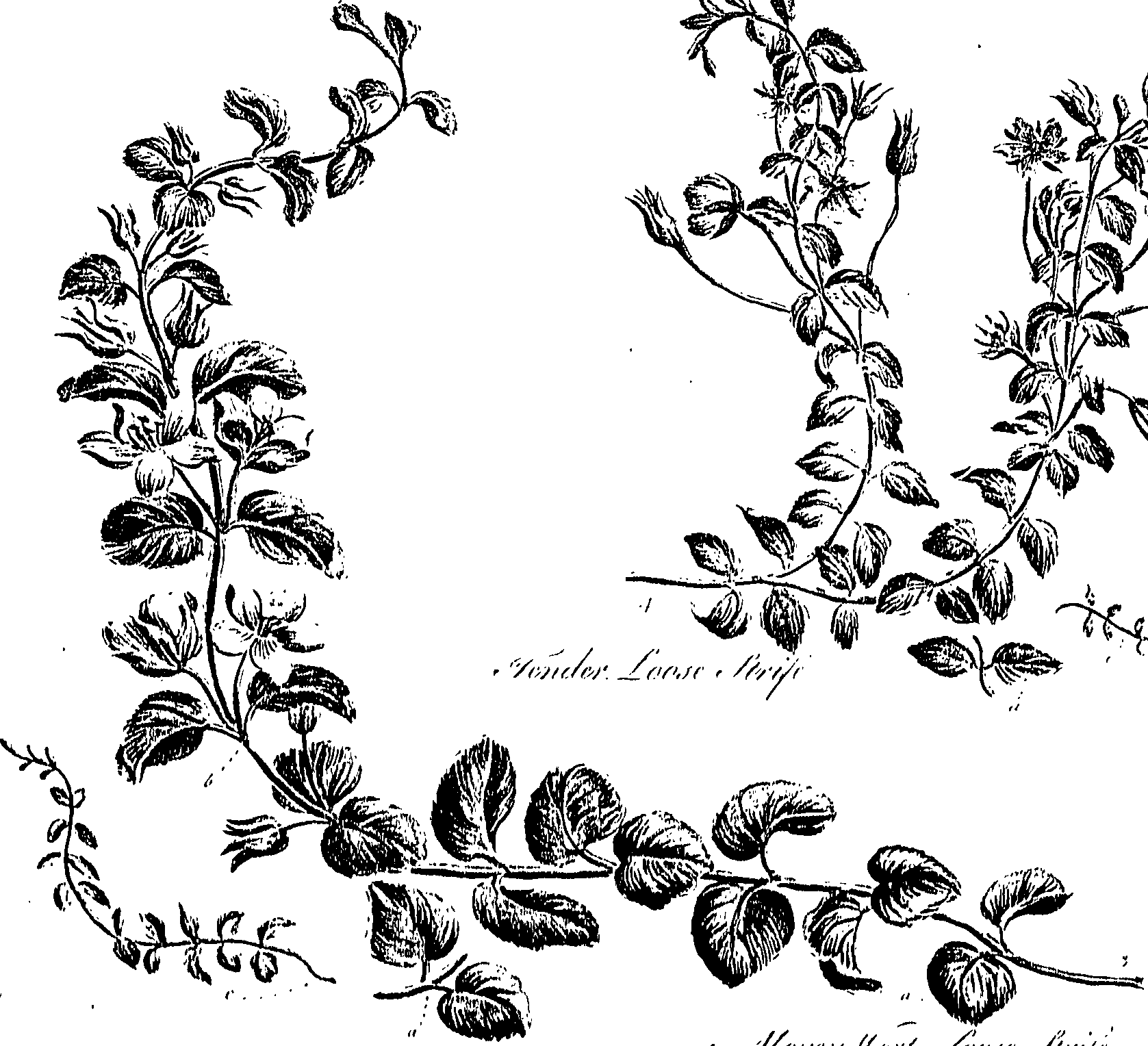 099/099310010800990_0.png