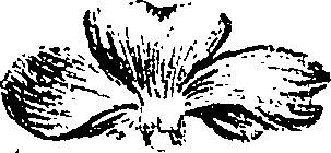 099/099310010801000_1.png
