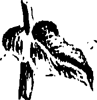 099/099310010801020_0.png