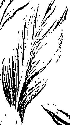 099/099310010801020_1.png