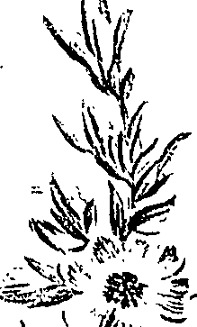 099/099310010801020_2.png