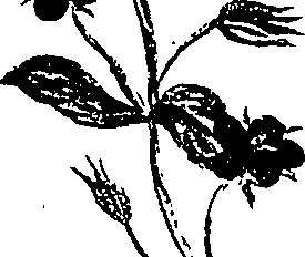 099/099310010801040_0.png