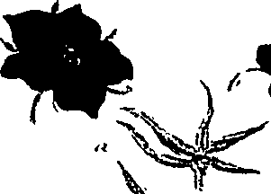 099/099310010801040_1.png