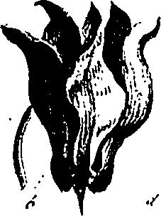 099/099310010801060_0.png