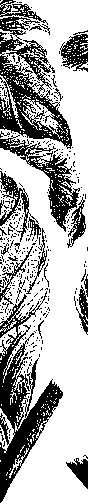 099/099310010801080_0.png