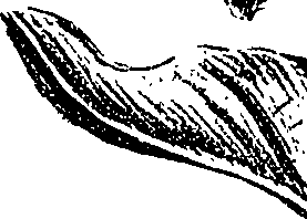099/099310010801080_1.png