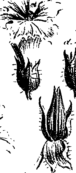 099/099310010801080_2.png