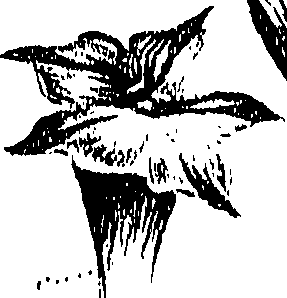 099/099310010801090_0.png