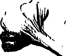 099/099310010801100_0.png
