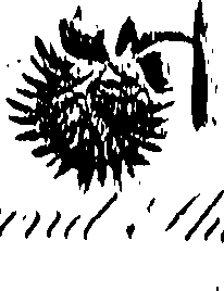 099/099310010801110_0.png