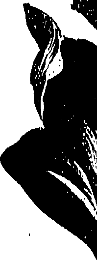 099/099310010801110_1.png
