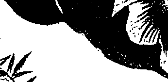 099/099310010801110_3.png