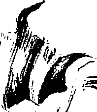099/099310010801110_4.png