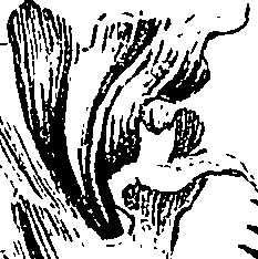 099/099310010801120_0.png