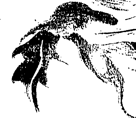 099/099310010801140_0.png
