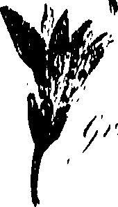 099/099310010801170_0.png