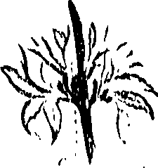 099/099310010801170_1.png