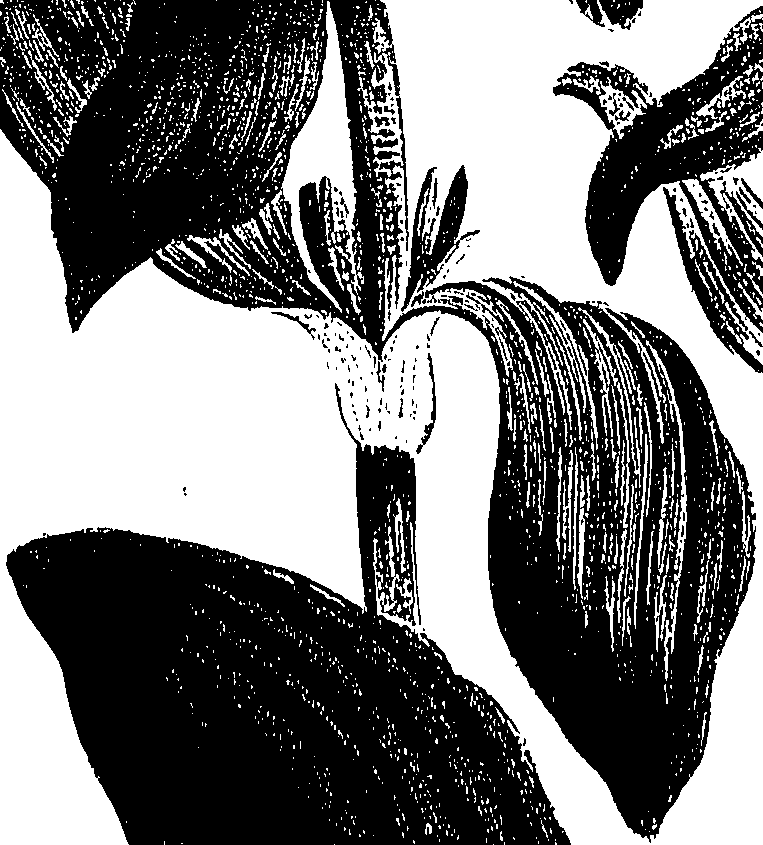 099/099310010801170_2.png
