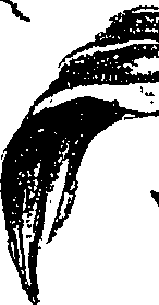 099/099310010801170_3.png