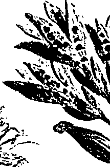 099/099310010801170_4.png