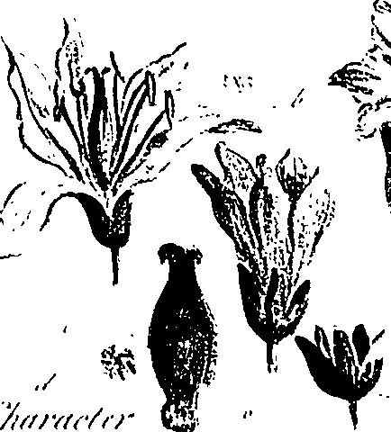 099/099310010801170_5.png