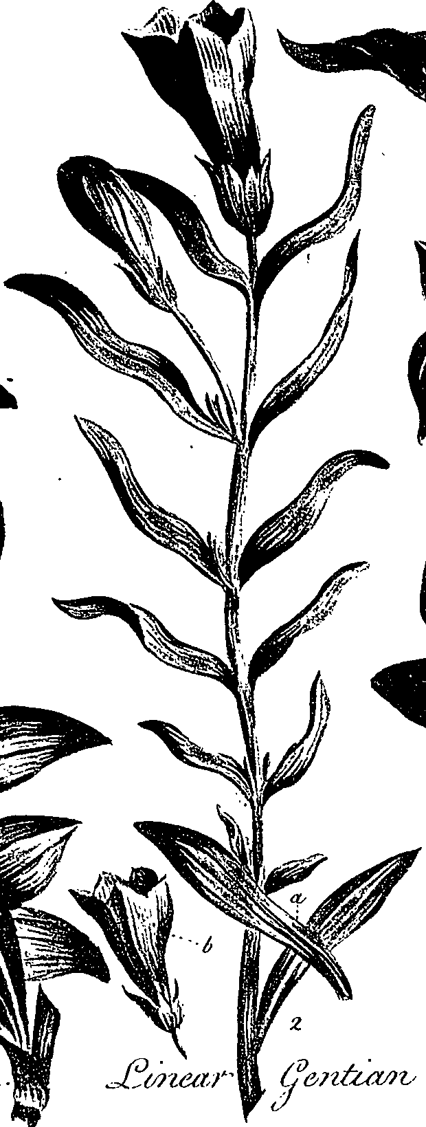 099/099310010801180_0.png
