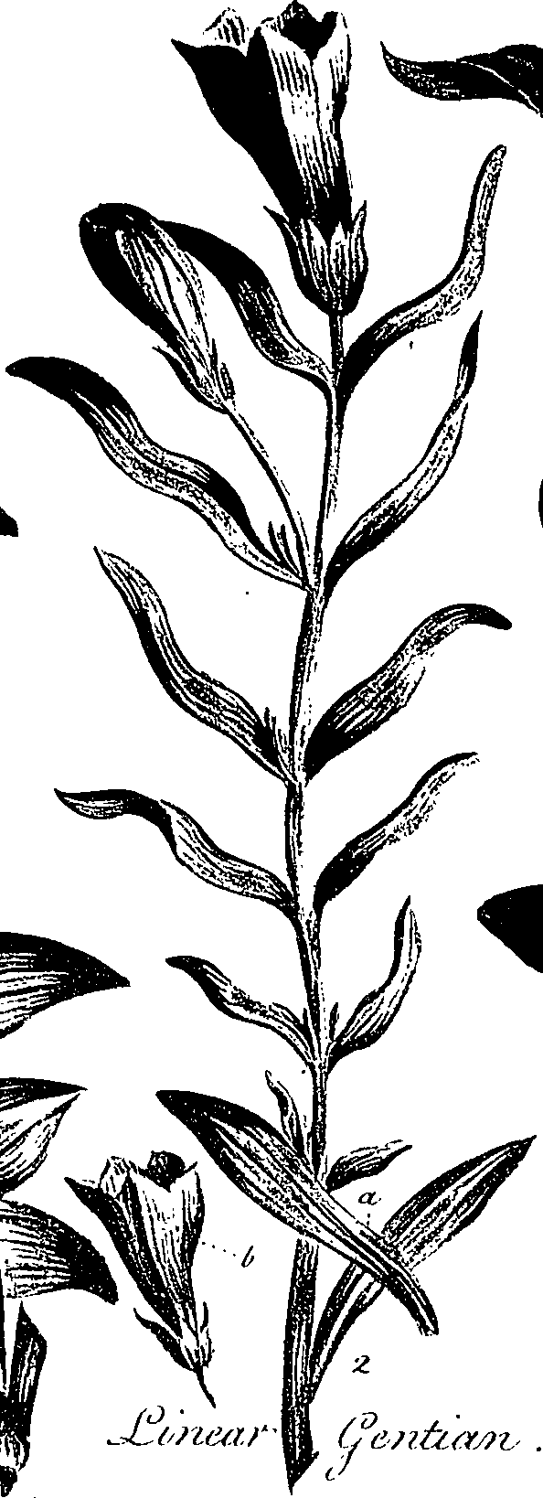 099/099310010801190_0.png