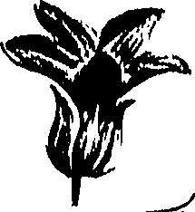 099/099310010801200_0.png