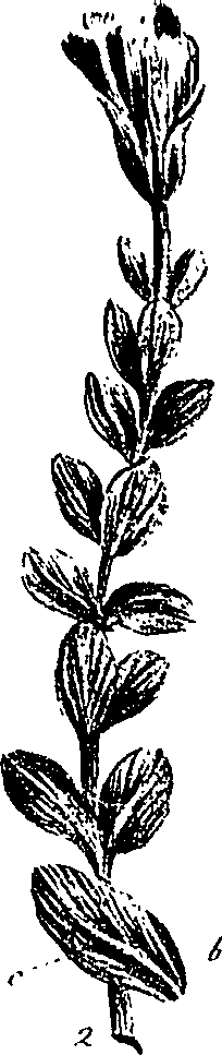 099/099310010801200_2.png