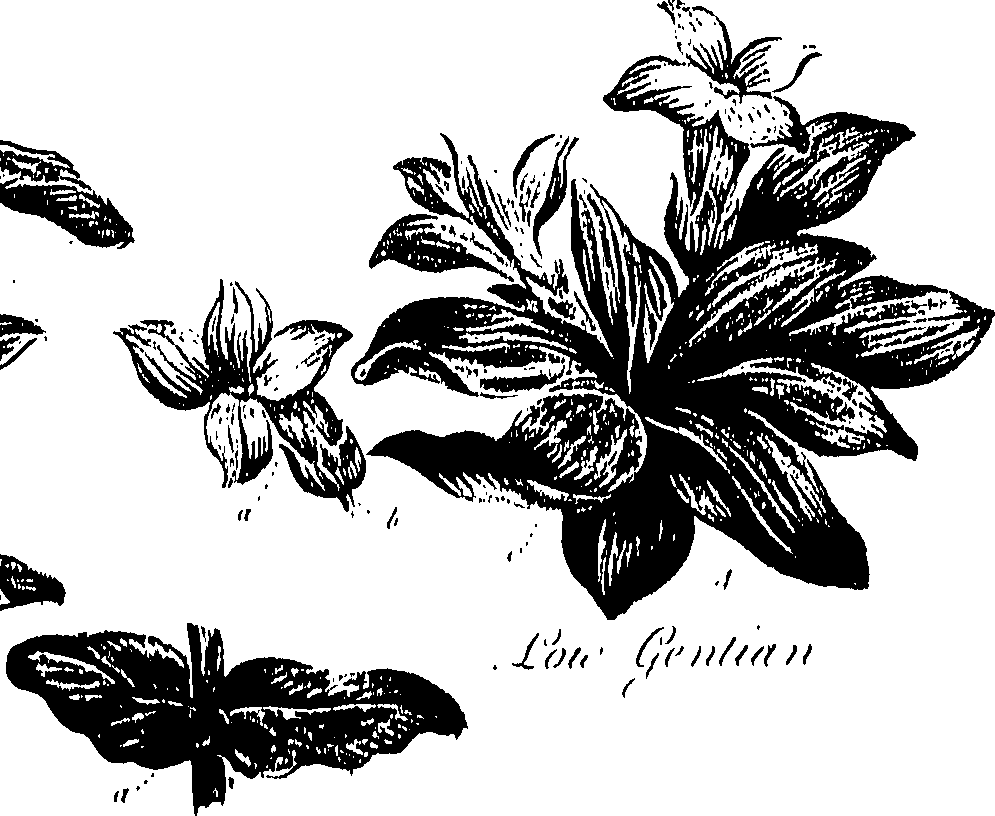 099/099310010801220_0.png