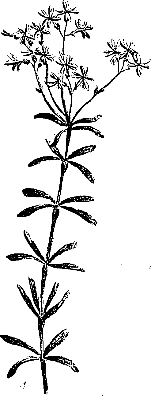 099/099310010801230_0.png