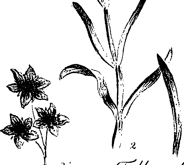 099/099310010801240_0.png
