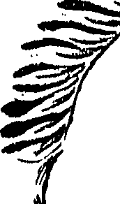 099/099310010900660_0.png