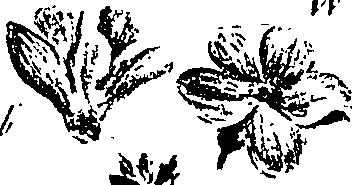 099/099310010900660_2.png