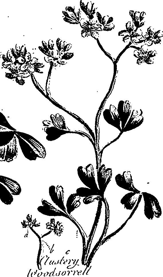 099/099310010900680_1.png