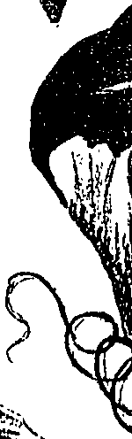 099/099310010900710_0.png