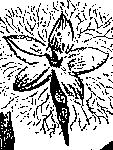 099/099310010900710_3.png