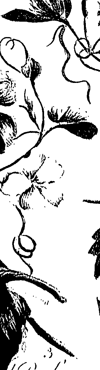 099/099310010900730_0.png