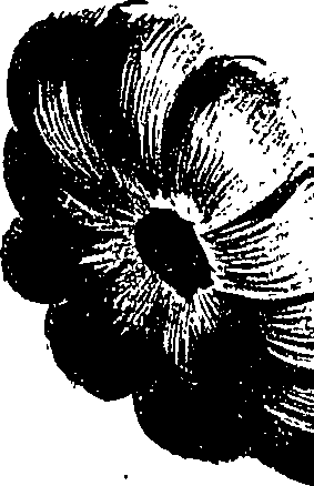099/099310010900760_1.png