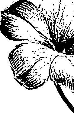 099/099310010900760_2.png