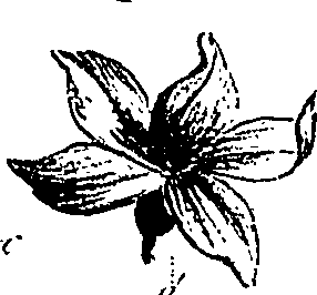 099/099310010900770_1.png