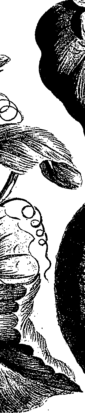 099/099310010900780_0.png