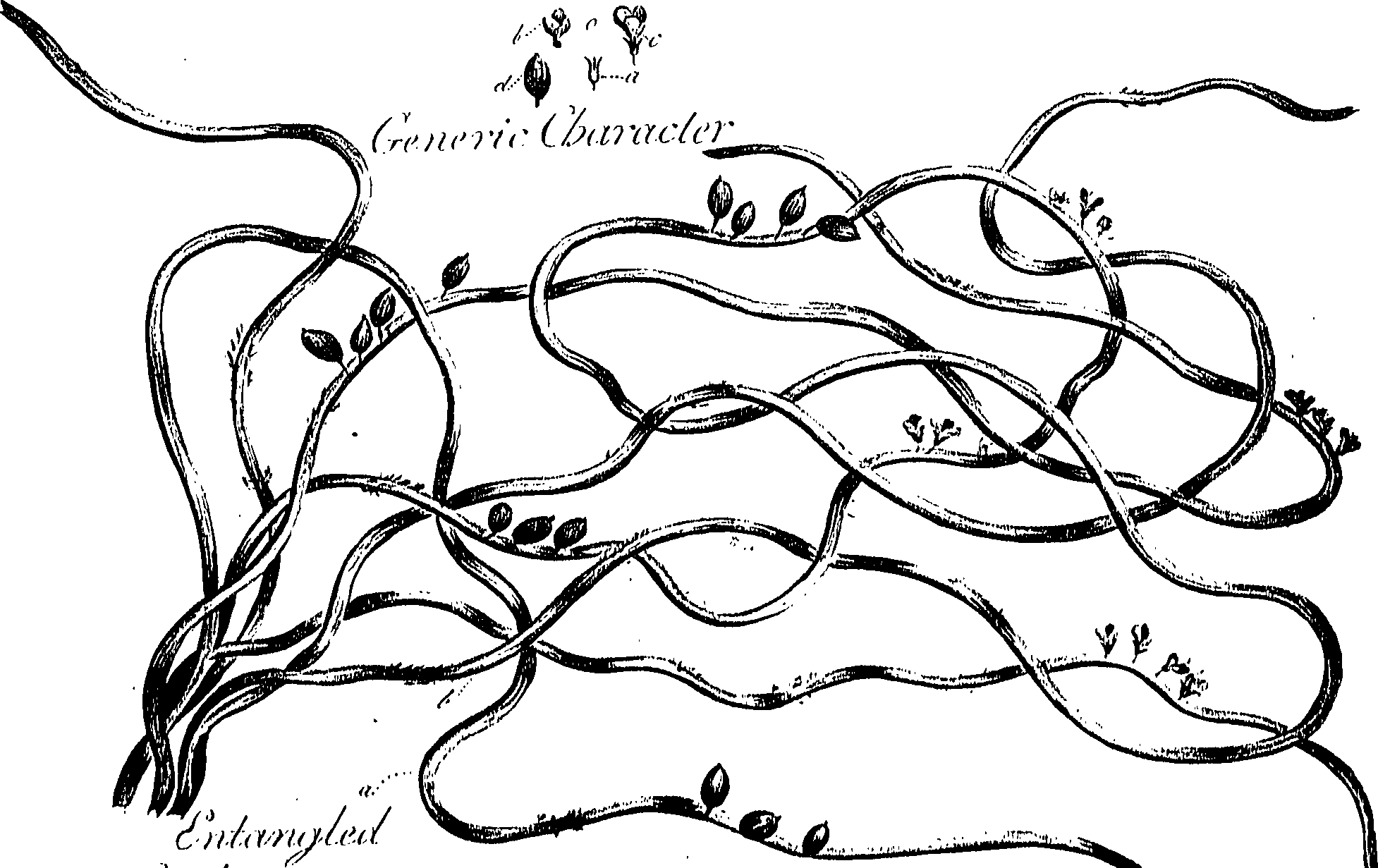 099/099310010900810_0.png
