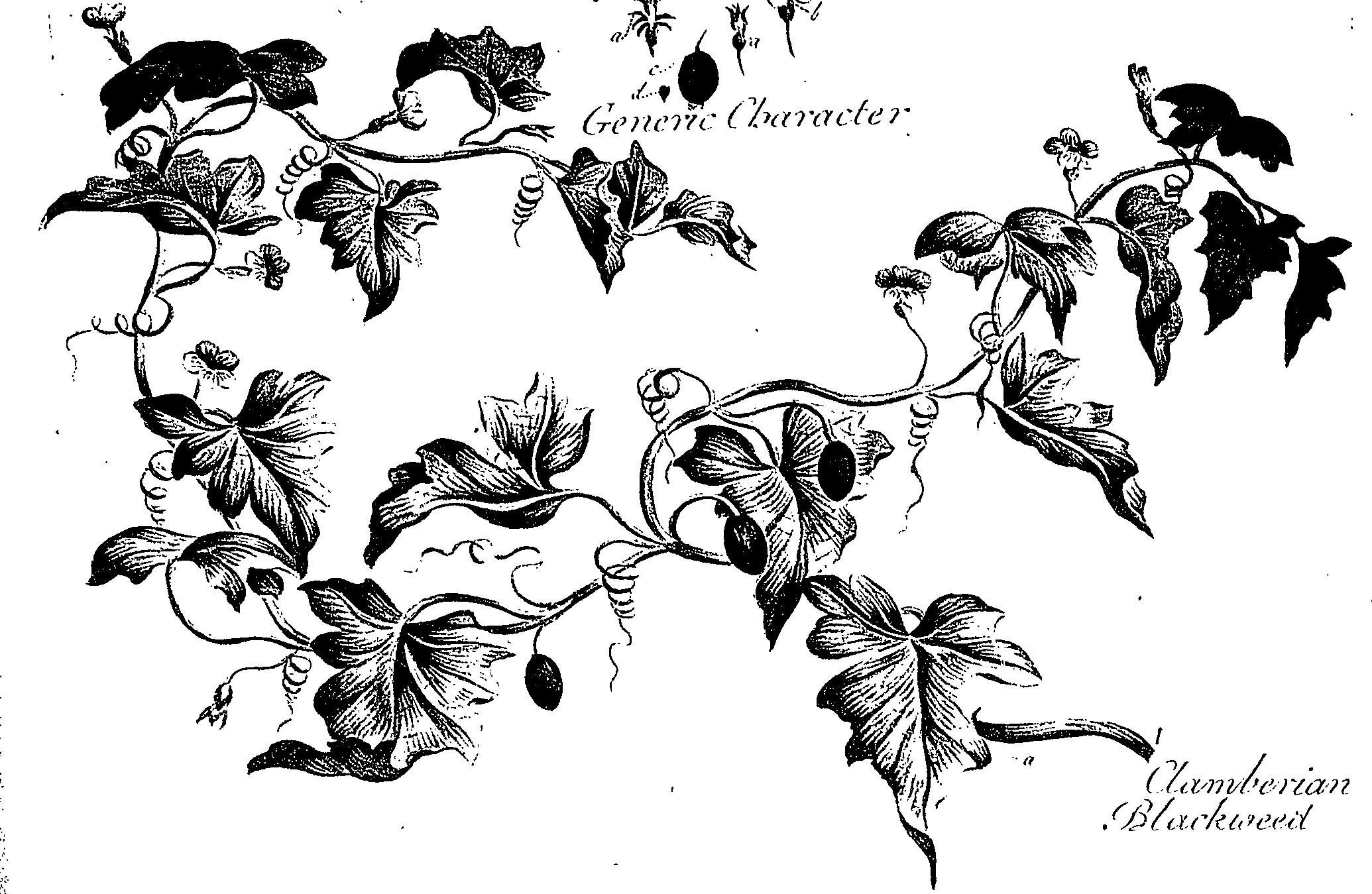 099/099310010900810_1.png