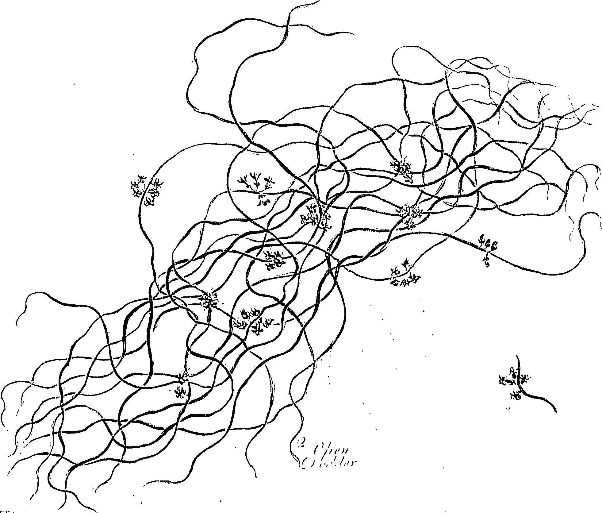 099/099310010900820_0.png