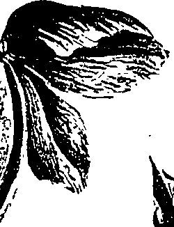099/099310010900830_0.png