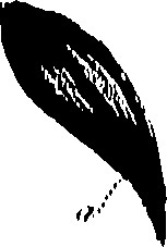 099/099310010900860_0.png